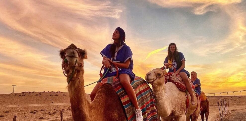 WhatsApp Image 2025-07-15 at 19.09.30