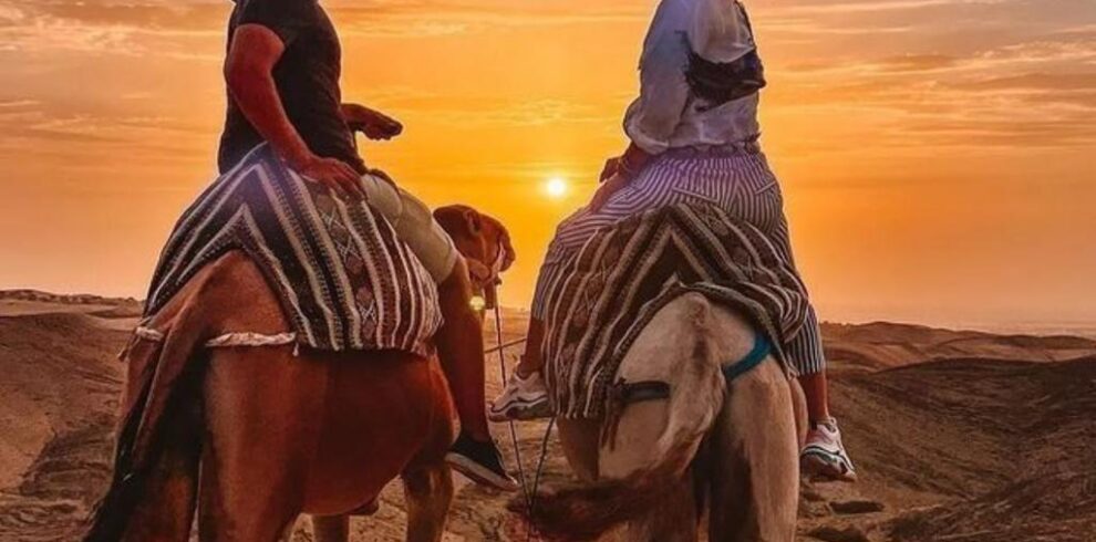 WhatsApp Image 2025-07-15 at 19.11.17 (3)